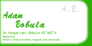 adam bobula business card